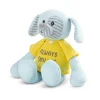 Always Smiling Plush Puppy Dog with Matching Toddler T-shirt Gift Set by Demdaco