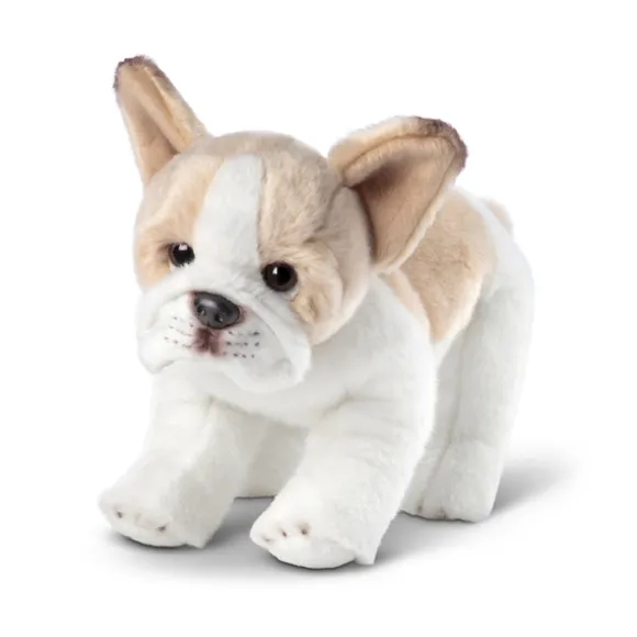 Animalcraft Likelike 12 Inch Stuffed French Bulldog by Demdaco
