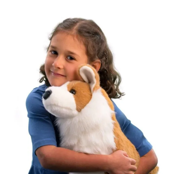 Chadwick the Plush Pembroke Welsh Corgi by Douglas