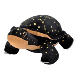 Cuddlekins Spotted Turtle Stuffed Animal by Wild Republic