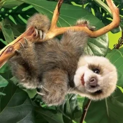 Full Body Baby Sloth Puppet by Folkmanis Puppets