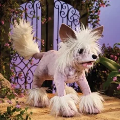 Full Body Chinese Crested Dog Puppet by Folkmanis Puppets