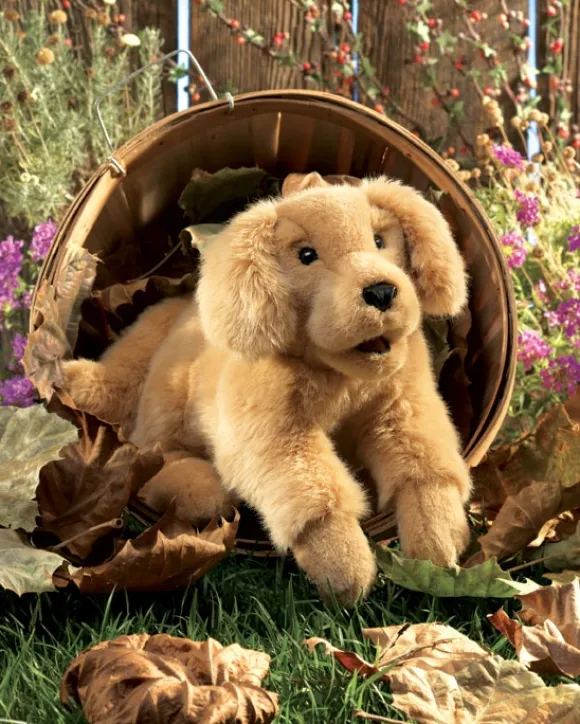 Full Body Golden Retriever Puppy Puppet by Folkmanis Puppets