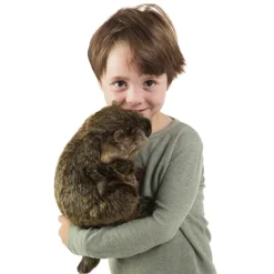 Full Body Groundhog Puppet by Folkmanis Puppets
