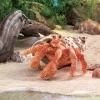 Full Body Hermit Crab Puppet by Folkmanis Puppets