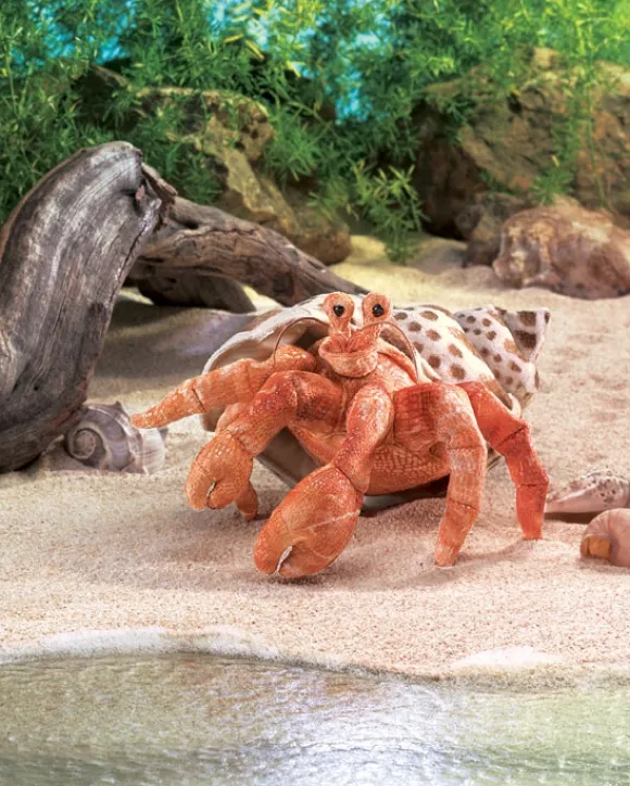Full Body Hermit Crab Puppet by Folkmanis Puppets