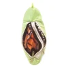 Full Body Monarch Life Cycle Puppet by Folkmanis Puppets