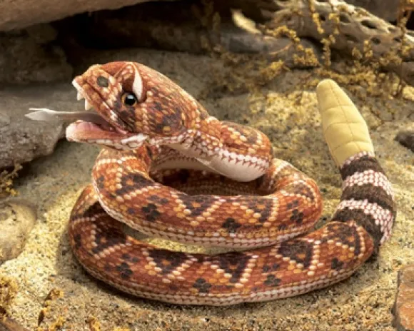 Full Body Rattlesnake Puppet by Folkmanis Puppets