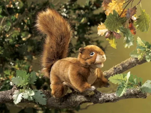 Full Body Red Squirrel Puppet by Folkmanis Puppets