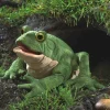 Full Body Toad Puppet by Folkmanis Puppets