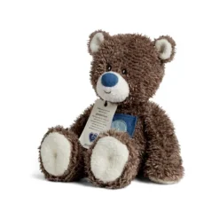 Grateful Heart 16 Inch Stuffed Teddy Bear by Demdaco