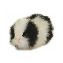 Handcrafted 8 Inch Lifelike Black Guinea Pig Stuffed Animal by Hansa