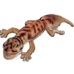 Handcrafted 10 Inch Lifelike Pibora Knob-tailed Gecko Stuffed Animal by Hansa