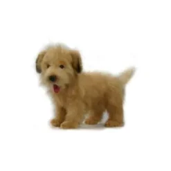 Handcrafted 18 Inch Lifelike Terrier Puppy Stuffed Animal by Hansa