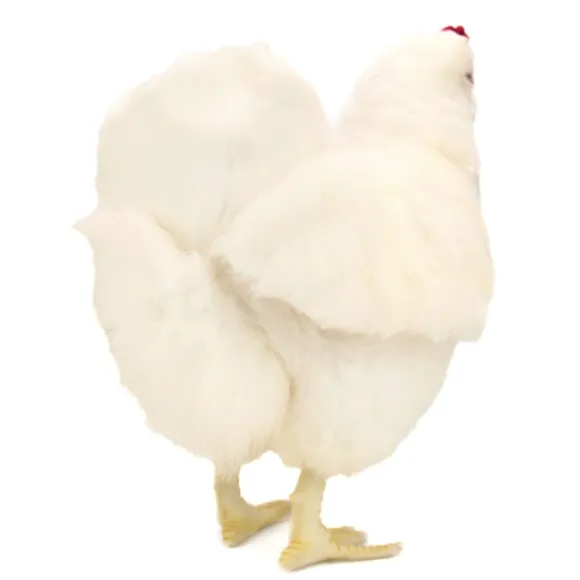 Handcrafted 14 Inch Lifelike White Hen Stuffed Animal by Hansa