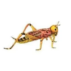 Handcrafted Lifelike Grasshopper Stuffed Animal by Hansa