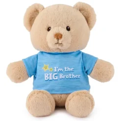 I'm the Big Brother Teddy Bear with Blue Shirt by Gund