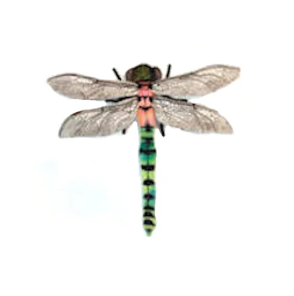 Lifelike Dragonfly Stuffed Animal by Hansa