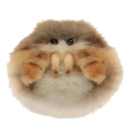 Lifelike Jumping Spider Stuffed Animal by Hansa