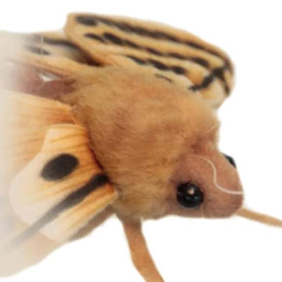 Lifelike Moth Stuffed Animal by Hansa