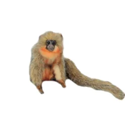 Lifelike Titi Monkey Stuffed Animal by Hansa
