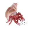 Living Earth Plush Crab by Wild Republic