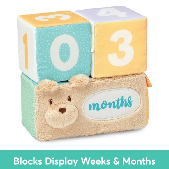 Milestones & Moments Baby Photo Prop Soft Blocks by Gund