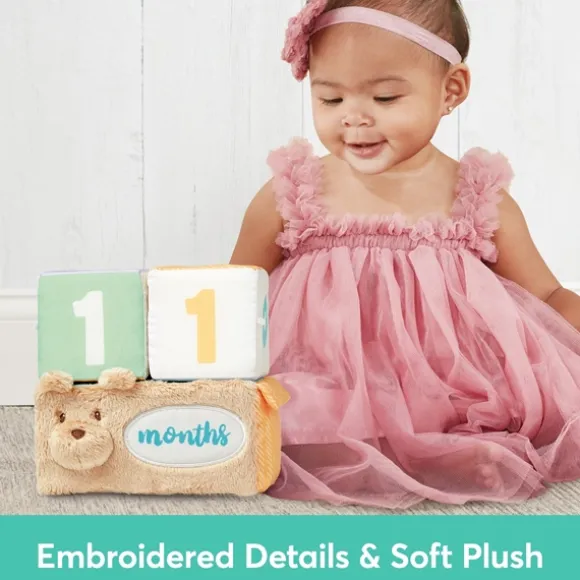 Milestones & Moments Baby Photo Prop Soft Blocks by Gund
