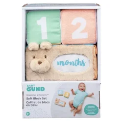 Milestones & Moments Baby Photo Prop Soft Blocks by Gund