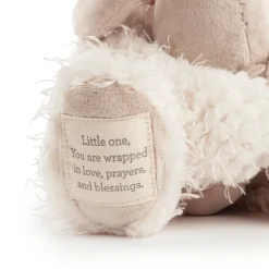 Wrapped in Prayer Baby Safe Plush Bear with Baby by Demdaco